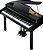 Roland RG-1F Digital Mini-Grand Piano SuperNATURAL Piano de Cauda Digital rg 1f rg1f - Seminovo - Imagem 1