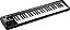 Teclado Controlador Roland A-49 a49 MIDI BK - Imagem 2