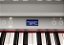 Piano De Cauda Digital Roland GP-6 PE Polished Ebony - Imagem 18