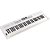 Link Roland GO Keys 5 Branco com 61 Teclas Seminovo - Imagem 3
