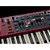 Piano de palco Nord Electro 7 com 61 teclas semi-pesado - PRÉ VENDA - Imagem 5