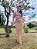 Conjunto Kate - Imagem 2