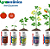 Amino Peixe Raízes Fertilizante Agrooceânica - 1 litro - Imagem 4