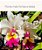 Adubo B&G Orquídeas - Fertilizante Concentrado Completo - 500 ml - Imagem 2