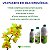 Adubo B&G Orquídeas - Fertilizante Concentrado Completo - 250 ml - Imagem 2
