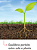 Forth Equilíbrio 500 ml - Adubo - Cálcio para suas plantas - Fertilizante via solo concentrado - Imagem 3