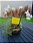 Armadilha Amarela para Insetos - 5 und - Yellow Trap Mini Garden - Coleagro - 12,5x10cm - Imagem 2
