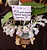 Orquidium 100 Nutriflora - Fertilizante Mineral para Orquídeas - 250 ml - Imagem 2