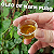 Óleo de Neem - Repelente de Insetos Natural - Agrooceânica - 100 ml - Imagem 2