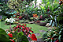 Forth Jardim - Adubo para Manutenção de Plantas - 400g - Imagem 2