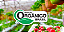 Kit de Sementes Orgânica Certificada Isla - Imagem 8