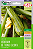 Kit de Sementes Orgânica Certificada Isla - Imagem 2