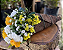 Vaso de Fibra de Coco para Orquídeas com Suporte de Parede - Coquim - Imagem 3