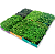Sementes de Microverdes de Rúcula Surya - 2g - Isla - Imagem 3