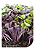 Sementes de Microverdes de Manjericão Padma - 500mg - Isla - Imagem 2
