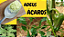 Forth Enxofre - Fertilizante - Folhas e Frutos - 60 ml - Imagem 3