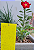 Kit Proteção Dupla - Armadilhas para Insetos Amarela e Azul - Garden - Imagem 5