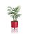Vaso Auto Irrigável N 02 - Pequeno - Raiz Vermelho - 12 x 11cm - Imagem 1