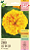 Kit de Sementes de Flores Zinnias Sortidas Isla - Imagem 6