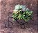 Vaso Fibra de Coco N4 na Mini Bicicleta Decorativa Coquim - Imagem 6