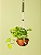 Alça Artesanal Verde Escuro Raiz - 53cm - Imagem 2