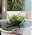 Vaso Bacia P Preto Absoluto - 34x11cm - Vasap Design - Imagem 4