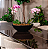 Vaso Bacia P Preto Absoluto - 34x11cm - Vasap Design - Imagem 6