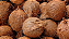 Forth Coqueiros - Adubo - Favorece a Produção - 3kg - Imagem 8