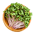 Sementes de Microverdes de Rabanete Indra/Rosado - 100g - Isla PRO - Imagem 2