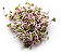 Sementes de Microverdes de Rabanete Indra/Rosado - 100g - Isla PRO - Imagem 4