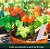Sementes Orgânicas de Tomate Camaquã Vermelho - 0,1g - Korin - Imagem 2