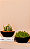 Vaso Bacia PP Preto Absoluto - 21x9cm - Vasap Design - Imagem 3