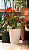 Vaso Vietnamita 31 Areia - Vasap Design - Imagem 4
