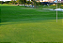 Sementes de Grama Folha Fina Carpete/Bermuda - 3g - Isla - Imagem 5