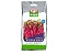 Sementes de Microverdes de Beterraba Shankar - 100g - Isla PRO - Imagem 1