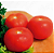 Sementes de Tomate Kaiçara - 200mg - Orgânico Isla - Imagem 2