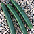 Sementes de Pepino Japonês Híbrido Nagato - 271mg - Isla - Imagem 4
