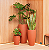 Vaso Vietnamita 70 Terracota - Vasap Design - Imagem 6