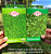 Sementes de Grama Folha Fina Carpete/Bermuda  - 100g - Isla - Imagem 8