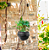 Vaso Cosmos 15 Suspenso 15x24 - Preto Absoluto - Vasap Design - Imagem 2
