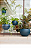 Vaso Cosmos 15 Suspenso 15x24 - Azul Macaúba - Vasap Design - Imagem 3