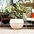 Vaso Cosmos 40 - Branco Mármore - 40x56cm - Vasap Design - Imagem 4