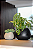 Vaso Texturizado Oval 12 Preto - Terraza - Nutriplan - Imagem 4