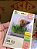 Kit 3 Sementes de Grama Félix - Erva para Gatos - 2g - Isla Linha Pet - Imagem 6