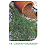 Sementes de Cominho Verdadeiro 500mg - Isla Linha Multi - Imagem 4