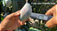 Protetor Solar Para Plantas E700 Fertilizante 1L - Solo Rico - Imagem 3