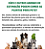 Plantas Para Pets Trigo Orgânico - Graminha Pet - Imagem 6