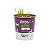 Plantas Para Pets Trigo Orgânico - Graminha Pet - Imagem 5