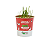 Plantas Para Pets Mix de Cereal Orgânico - Graminha Pet - Imagem 5