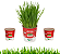 Plantas Para Pets Mix de Cereal Orgânico - Graminha Pet - Imagem 3